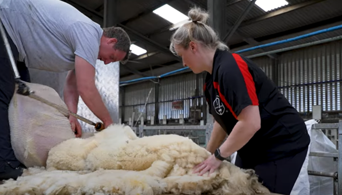 Exploring Farm Diversification: Rural Skills