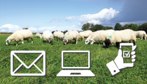Make your Sheep Census return now