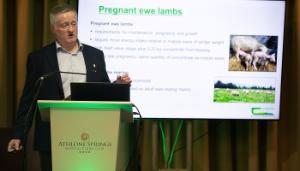 Pregnancy nutrition – the foundation of flock profitability