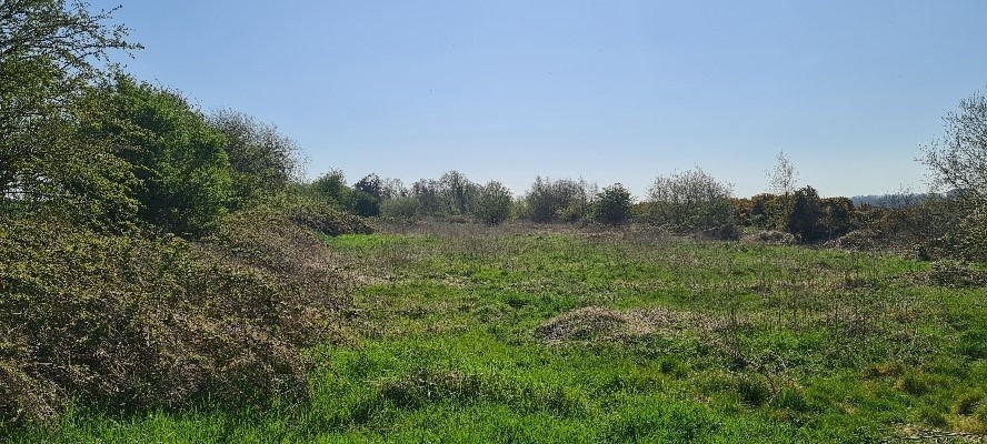An excellent location for a bog riparian zone on the Moore farm