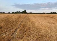 Straw incorporation – its role in achieving net zero on tillage farms