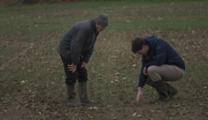 The tillage sting in the tail after a difficult autumn