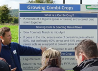 Combination Crops on Organic Farms