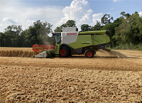 What lies ahead for tillage margins?