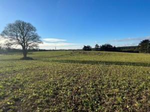 Tillage emissions stable