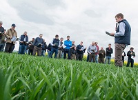 Teagasc Agronomy Workshops – Winter Crop Walks