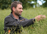Growing need for oilseeds