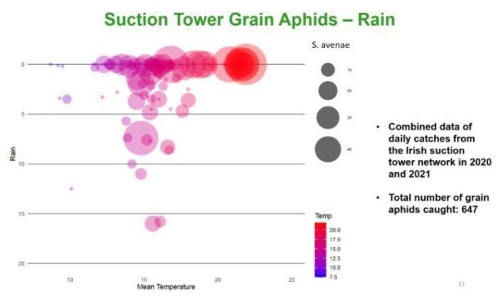 Figure 1 showing the effect of rainfall on aphid flight