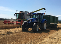 How to weigh up the pros and cons of growing winter barley