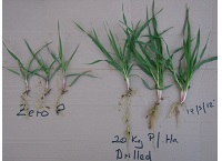Tillage Update – 20th January 2022