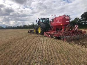 Cover crop timing is just around the corner