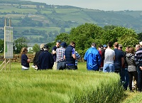 Teagasc Crops Trials Event – Thursday