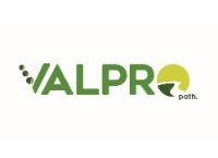 ‘VALPRO Path’ project to deliver opportunities for plant protein production