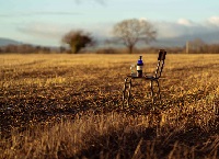 Weather and Soil crucial to making great Whisky