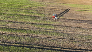 Watch: Farmers share experiences of ‘smash and grab’ winter plantings