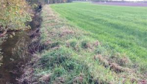 Tillage advice: Minimum buffer zones to protect water
