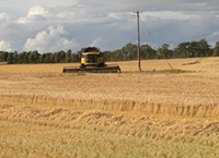 Tillage Update – 10th September
