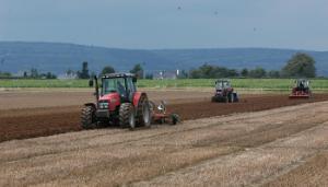 The many benefits of crop rotation