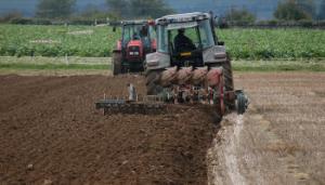 Variable cost respite for cereal crops