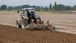 Spring sowing: Mind the soil