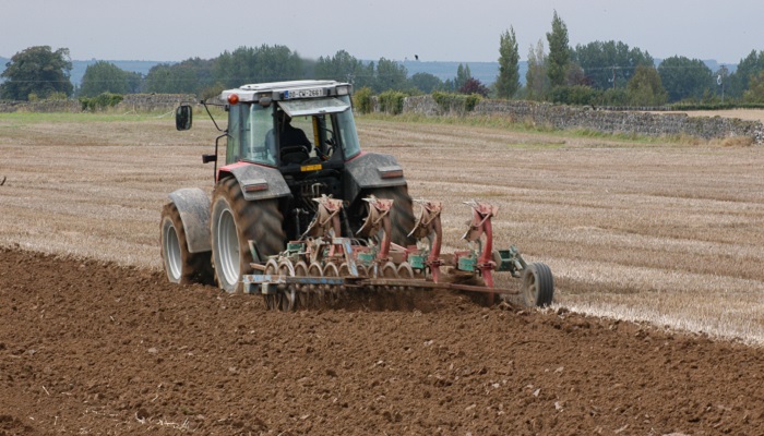 Tillage advice: Seeding rates, fertiliser and planting spring beans