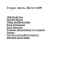 Annual Report 2000