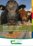Dairy Calf-To-Beef Production Systems