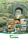 Annual Report 2004