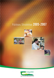 Ráiteas Straitéise 2005-2007