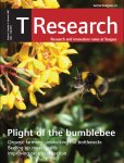 TResearch: Summer 2007