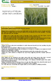 Agronomy of triticale under Irish conditions – 5376