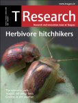 TResearch: Winter 2008