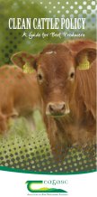 Best Practice to Produce Clean Cattle