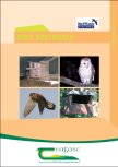 Bird Nestboxes