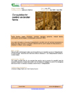 Campylobacter control on broiler farms – 5427