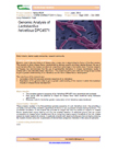 Genomic Analysis of Lactobacillus helveticus DPC4571 – 5434/5025