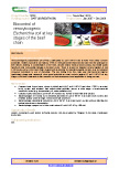 Biocontrol of verocytoxigenic Escherichia coli at key stages of the beef chain – 5638
