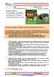 RedHolsteins – Knowledge of genetic variations to breed a more robust dairy cow – 5463