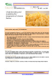 Understanding and exploiting the biogenesis of cheese flavour – 5433
