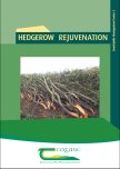 Hedgerow Rejuvenation