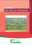 The Value of Hedgerows