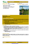 BROADFORM: Shaping and tending of broadleaves – 5106