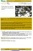 Detecting dry bubble disease on mushroom farms – 5695