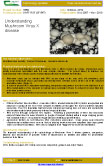 Understanding Mushroom Virus X disease – 5850