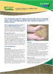 Cereal Grains as a Boiler Fuel