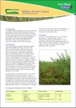 Willow Weed Control