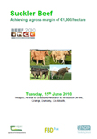 Suckler Beef: Achieving a gross margin of €1,000/hectare