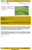 Benefits of Plant Diversity – 5583