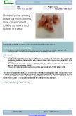 Relationships among maternal environment, fetal development, follicle numbers and fertility in cattle – 5667