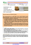 Identification and molecular characterisation of genes influencing Irish pork meat quality – 5643